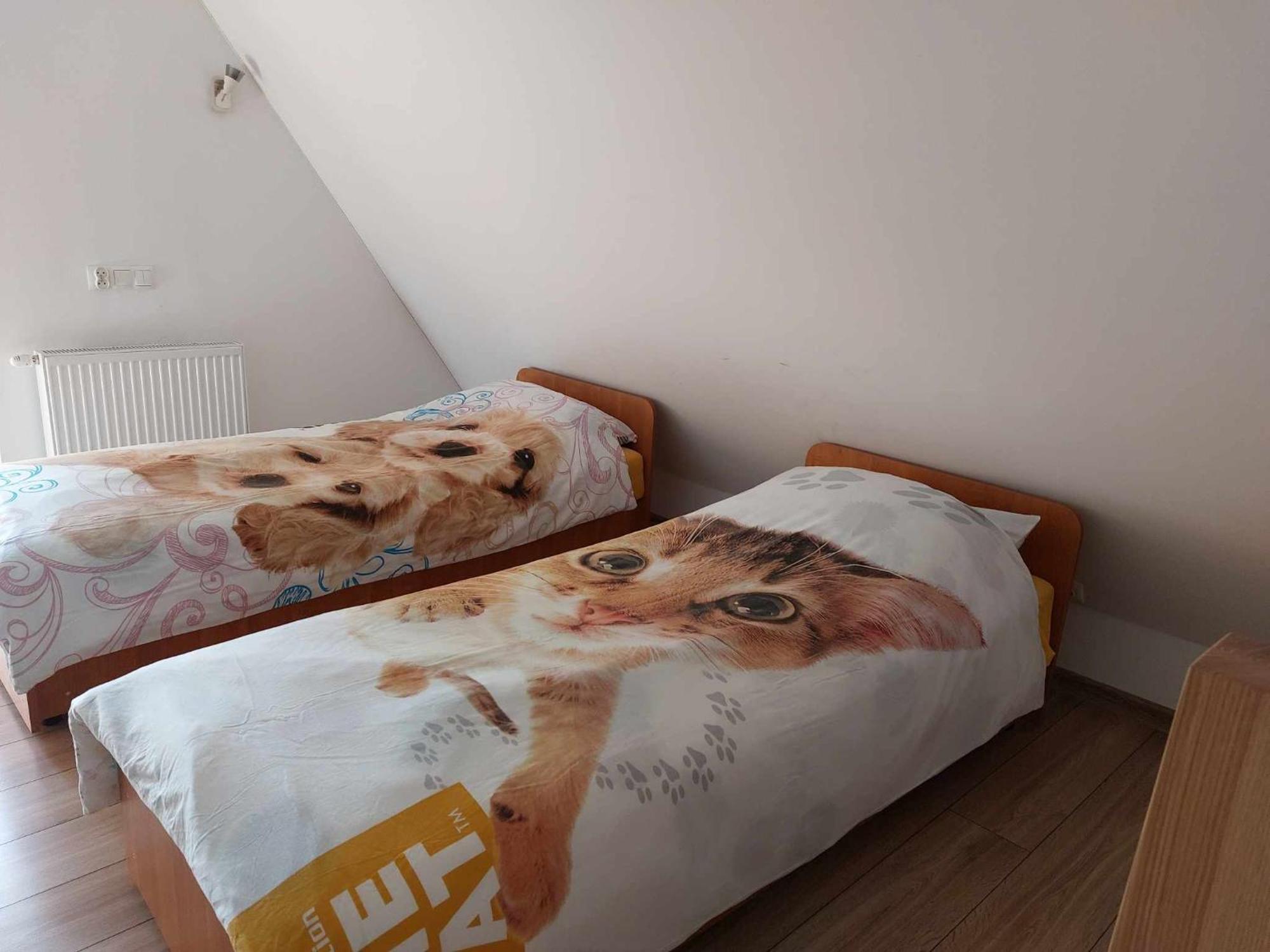 Apartamenty Cede Zakopane Exterior foto